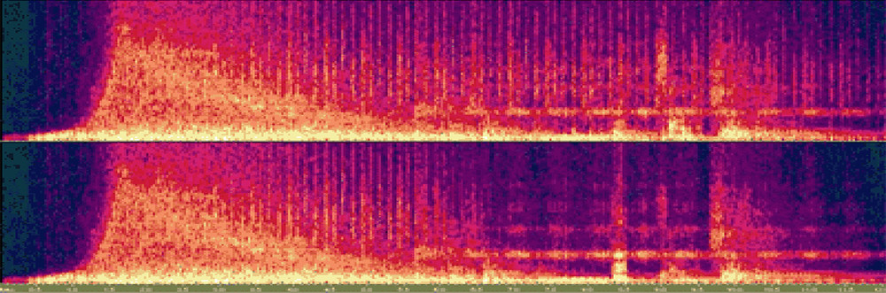 08137292-photo-spectrographe-compar-de-deux-voix.jpg