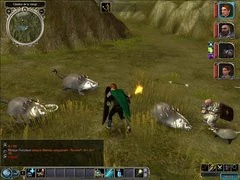00F0000000395029-photo-neverwinter-nights-2.jpg