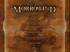 00F0000000053209-photo-morrowind.jpg