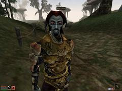 00F0000000053218-photo-morrowind-un-brigand-au-grand-coeur.jpg