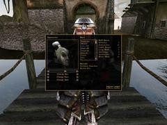 00F0000000053214-photo-morrowind-cr-ation-du-personnage.jpg