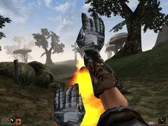 00F0000000053228-photo-morrowind-une-jolie-boule-de-feu.jpg