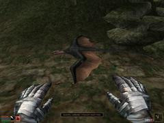 00F0000000053230-photo-morrowind-la-magie-est-un-peu-lente-d-ex-cution.jpg