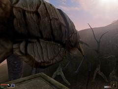 00F0000000053237-photo-morrowind-un-moyen-de-transport-surprenant.jpg