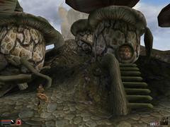 00F0000000053238-photo-morrowind-de-jolies-petites-maisons.jpg