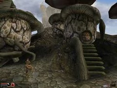 00F0000000053238-photo-morrowind-de-jolies-petites-maisons.jpg