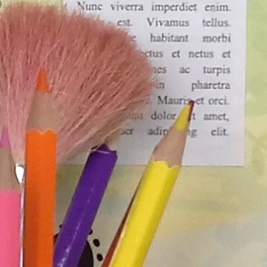 05980510-photo-galaxy-note-8-photo-scene-detail-1.jpg