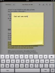 0000012C03428450-photo-ibooks-notes.jpg