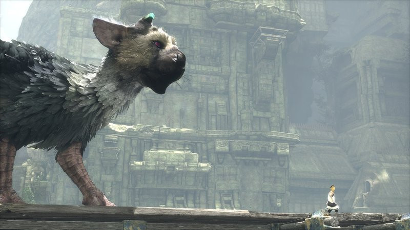 0320000008600550-photo-the-last-guardian-screen-07-ps4-eu-16jun15.jpg