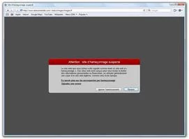 000000C802239996-photo-safari-antiphishing.jpg