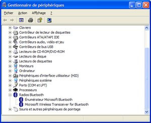 012C000000055379-photo-p-riph-riques-bluetooth-dans-le-gestionnaire-de-p-riph-riques-windows-xp.jpg