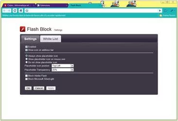 000000FA03072130-photo-flashblock-google-chrome-clubic.jpg