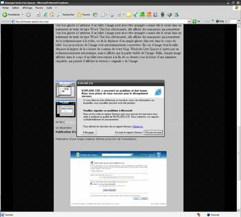 015E000000429621-photo-windows-live-spaces-plantage-ie6.jpg