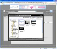 00C8000000429600-photo-captures-windows-live-spaces-images-ie.jpg