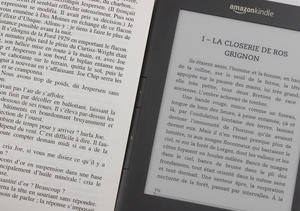 012C000004195710-photo-kindle-3g-vs-vrai-livre.jpg