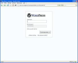 000000DC00448069-photo-wordpress-accueil-admin-login.jpg