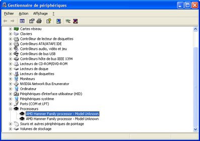 0000011800128271-photo-amd-athlon-64-x2-deux-cpu-sous-windows-xp.jpg