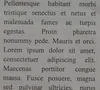 0064000003910552-photo-d7000-piqu-35-mm-centre-f-11.jpg