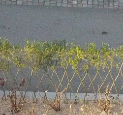 00FA000002686382-photo-noise-reduction-min.jpg