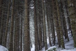 012C000002686396-photo-gf1-photo-5.jpg