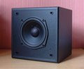 0078000000051532-photo-inspire-5300-caisson-de-basses-2.jpg