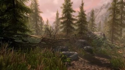 01A4000008473308-photo-the-elder-scrolls-v-skyrim-special-edition.jpg