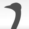0000006403424836-photo-ostrich-twitter-safari-logo-mikeklo.jpg