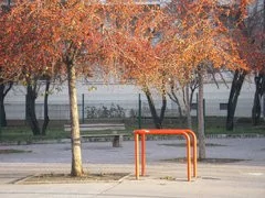 000000B400411862-photo-apn-abordables-pentax-m20-galerie-6.jpg
