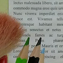 06673596-photo-blackberry-z30-crop-100-100.jpg