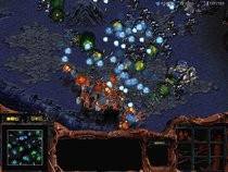 00D2000000003527-photo-starcraft-brood-war.jpg