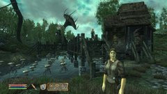 00F0000000455833-photo-the-elder-scrolls-iv-shivering-isles.jpg