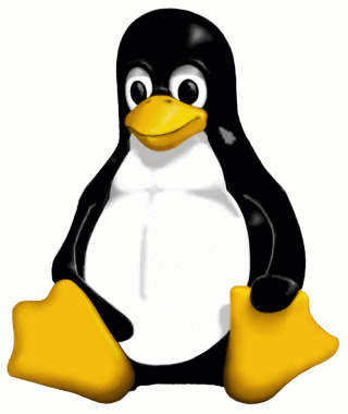 00092171-photo-linux-tux-logo-officiel.jpg