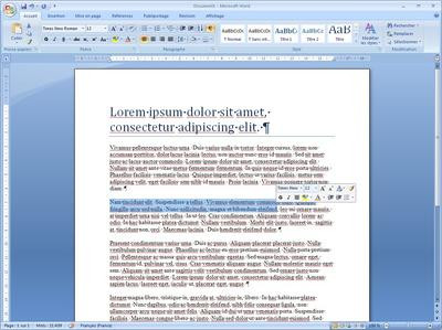 0190000001993104-photo-word-2007-barre-contextuelle.jpg