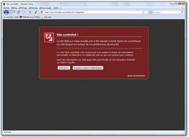 000000C801372004-photo-firefox-3-anti-phishing.jpg