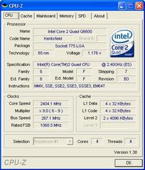 000000F000433016-photo-intel-core-2-quad-q6600-cpu-z.jpg