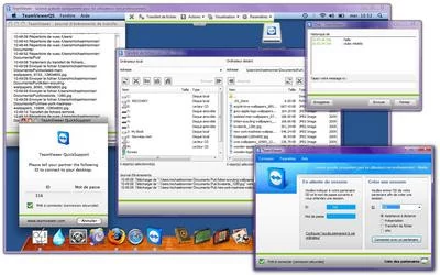 0190000002250184-photo-teamviewer-mikeklo-clubic.jpg