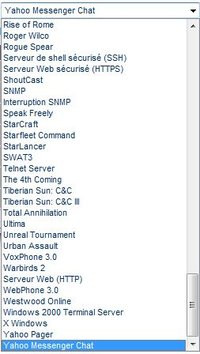 00C8000003274792-photo-serveur-virtuel2.jpg
