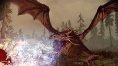 00F0000002209834-photo-dragon-age-origins.jpg