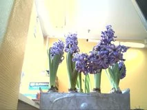 000000A000409781-photo-comparatif-webcams-microsoft-lifecam-nx6000-4.jpg