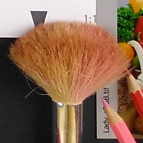 08560996-photo-moto-g4-play-photo-scene-detail-3.jpg