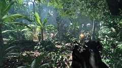 00F0000000584708-photo-crysis.jpg