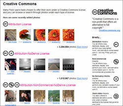 00FA000000443341-photo-galeries-flickr-exploration.jpg