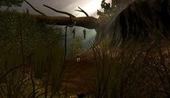 00F0000001565512-photo-dragon-age-origins.jpg