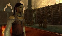 00F0000001565490-photo-dragon-age-origins.jpg