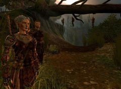 00F0000001565484-photo-dragon-age-origins.jpg