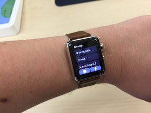 012C000008018488-photo-apple-watch-bracelet-25.jpg