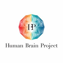 00FA000007494529-photo-human-brain-project.jpg