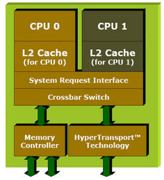 0000010400128269-photo-amd-athlon-64-x2-schema.jpg