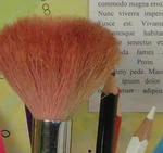 0096000004385258-photo-wb700-100-iso-extrait-1.jpg