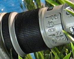00412201-photo-apn-abordables-canon-a430-64-iso.jpg